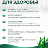 Инфографика Польза Хлорелла
