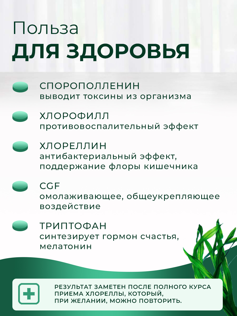 Инфографика Польза Хлорелла