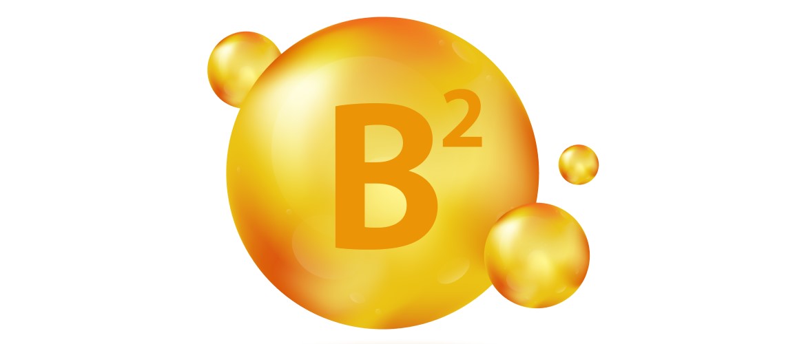 B2