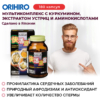 Мультикомплекс с куркумином, экстрактом устриц и аминокислотами, инфографика